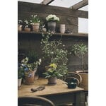 Bergs Potter Simona Blumentopf mit Untersetzer, rohgrau, dekorationsbild