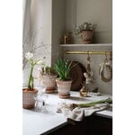 Bergs Potter Simona Blumentopf mit Untersetzer, Raw Rosa, dekorationsbild