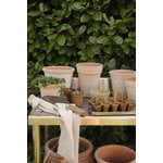 Bergs Potter Simona Blumentopf mit Untersetzer, Raw Rosa, dekorationsbild