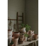 Bergs Potter Simona Blumentopf mit Untersetzer, Raw Rosa, dekorationsbild