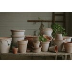 Bergs Potter Simona Blumentopf mit Untersetzer, Raw Rosa, dekorationsbild