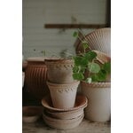 Bergs Potter Københavner Blumentopf mit Untersetzer, Raw Rosa, dekorationsbild