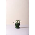 Bergs Potter Københavner pot de fleurs avec soucoupe, émeraude émaillée, image décorative