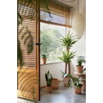 Bergs Potter Atlas Blumentopf mit Untersetzer, Raw Rosa, dekorationsbild