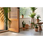 Bergs Potter Atlas Blumentopf mit Untersetzer, Raw Rosa, dekorationsbild