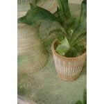 Bergs Potter Atlas Blumentopf mit Untersetzer, Raw Rosa, dekorationsbild