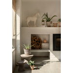 Bergs Potter Atlas Blumentopf mit Untersetzer, rohgrau, dekorationsbild