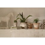 Bergs Potter Atlas Blumentopf mit Untersetzer, rohgrau, dekorationsbild