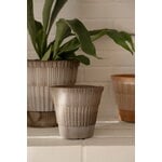 Bergs Potter Atlas Blumentopf mit Untersetzer, rohgrau, dekorationsbild