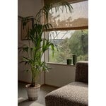 Bergs Potter Atlas Blumentopf mit Untersetzer, rohgrau, dekorationsbild