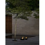 Blomus Fuoco Gel fireplace, 18,5 cm, black - polished stainless steel, view 2
