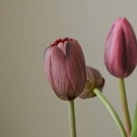 Botané Ramo de tulipanes morados, vista 3