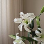 Botané Elegant Lily ramo, blanco, vista 3