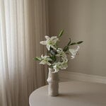 Botané Elegant Lily ramo, blanco, vista 5