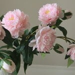 Botané Ramo de peonías, rosa, vista 3