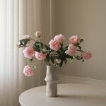 Botané Ramo de peonías, rosa, vista 4