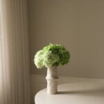 Botané Green Hydrangea ramo, vista 3
