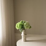 Botané Green Hydrangea ramo, vista 5