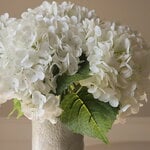 Botané Ramo de hortensias blancas, vista 3