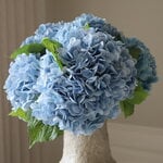 Botané Blue Hydrangea ramo, vista 4
