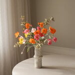 Botané Ramo Poppy Spritz, vista 2