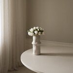 Botané Mazzo Mini Rose, bianco, vista 5