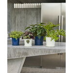 HAY Botanical Family pot and saucer, L, dark blue