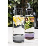 Crushgrind Billund pitcher, blueberry, decoration image