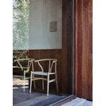 Carl Hansen & Søn CH24P Wishbone sedia, rovere insaponato - pelle Terra color sabbia, vista 6