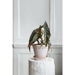 Bergs Potter Københavner Blumentopf mit Untersetzer, Raw Rosa, dekorationsbild