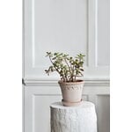 Bergs Potter Københavner Blumentopf mit Untersetzer, Raw Rosa, dekorationsbild