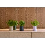 Crushgrind Billund self-watering pot, lavender, decoration image