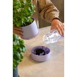 Crushgrind Billund self-watering pot, cumin, decoration image