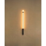DCWéditions In Fine lampada da parete 1050, grigio scuro, vista 9