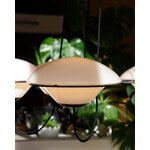 DCWéditions In The Air 6 chandelier, white, view 11