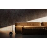 Lumina Daphine Terra floor lamp, black soft-touch, decoration image