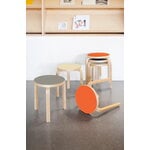 Artek Aalto stool 60, askgrå linoleum - björk