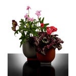Serax Rosamar flower pot 02, orange - grey, view 2