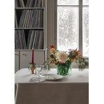 Iittala Tapio white wine glass, set of 2, decoration image