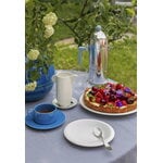 Iittala Piatto Raami 17 cm, immagine decorativa