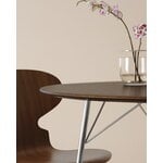 Fritz Hansen Ant chair 3100, 3 legs, clear lacquered walnut - chrome