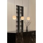 Established & Sons  Filigrana S2 lampada a sospensione, cilindro 220 mm, canne nere, vista 6