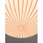Established & Sons  Lampada a sospensione Filigrana S4, ellisse 450 mm, canne rosse, vista 2