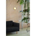 Tala Firth wall lamp, clear - white, decoration image