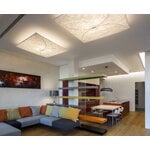 Flos Ariette wall lamp, small, decoration image