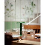Flos Gustave table lamp, lacquered green, view 2