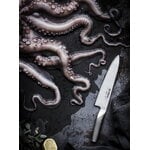 Global Coltello da cuoco G-2, 20 cm, immagine decorativa
