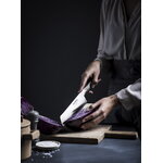 Global Coltello da cucina G-5, immagine decorativa