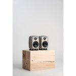 Genelec G Two (B) active speaker, RAW aluminium, decoration image