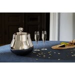 Georg Jensen Sky champagneglas, 25 cl, 6 stycken